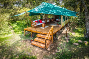Отель Losokwan Luxury Tented Camp - Maasai Mara  Aitong